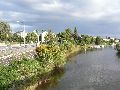  Die Pieschener Hafenstadtlandschaft von der Neuen Molebrücke aus gesehen