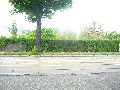 301 Augenblicke in Striesen