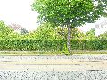 301 Augenblicke in Striesen