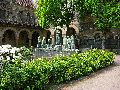301 Augenblicke in Striesen