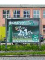301 Augenblicke in Striesen