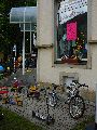 301 Augenblicke in Striesen
