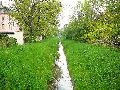 301 Augenblicke in Striesen