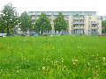301 Augenblicke in Striesen
