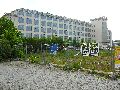 301 Augenblicke in Striesen