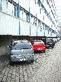 301 Augenblicke in Striesen