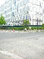301 Augenblicke in Striesen