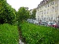301 Augenblicke in Striesen