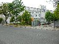 301 Augenblicke in Striesen