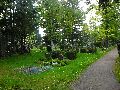 301 Augenblicke in Striesen