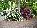 301 Augenblicke in Striesen