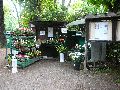 301 Augenblicke in Striesen
