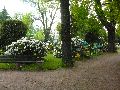 301 Augenblicke in Striesen
