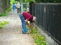 301 Augenblicke in Striesen