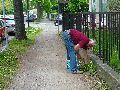 301 Augenblicke in Striesen