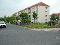 301 Augenblicke in Striesen