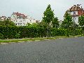 301 Augenblicke in Striesen