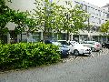 301 Augenblicke in Striesen