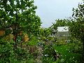 301 Augenblicke in Striesen