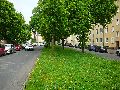 301 Augenblicke in Striesen