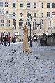 Dresden mit dem Herzen erlebt, Jean Pierrot