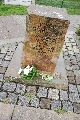 Politik- Demonstrationen- Kundgebungen etc., 2008-2009