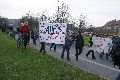 Politik- Demonstrationen- Kundgebungen etc., 2008-2009