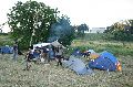 Politik- Demonstrationen- Kundgebungen etc., 2008-2009