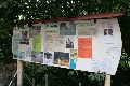 Politik- Demonstrationen- Kundgebungen etc., 2008-2009