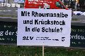Politik- Demonstrationen- Kundgebungen etc., 2008-2009