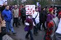 Politik- Demonstrationen- Kundgebungen etc., 2008-2009