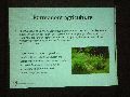 Vortrag über Permakultur, organisiert von den Evoluzzern