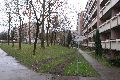 Spaziergang in Prohlis