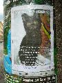 Plakate-Werbung-Kunst auf Papier und Ähnliches