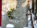 Freiraum Elbtal, Kunst-Kunsthandwek-Anderes