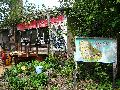 Frühlingsfest Freiraum Elbtal