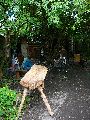 Frühlingsfest Freiraum Elbtal