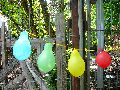 Frühlingsfest Freiraum Elbtal