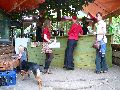 Frühlingsfest Freiraum Elbtal