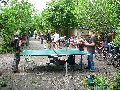 Frühlingsfest Freiraum Elbtal