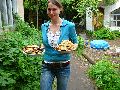 Frühlingsfest Freiraum Elbtal