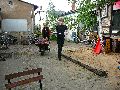 Frühlingsfest Freiraum Elbtal