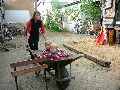 Frühlingsfest Freiraum Elbtal