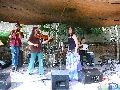 Frühlingsfest Freiraum Elbtal