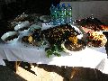 Frühlingsfest Freiraum Elbtal