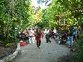 Frühlingsfest Freiraum Elbtal