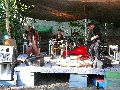 Frühlingsfest Freiraum Elbtal