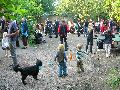 Frühlingsfest Freiraum Elbtal