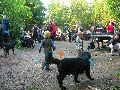 Frühlingsfest Freiraum Elbtal