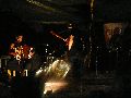 Frühlingsfest Freiraum Elbtal